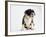 Bulldog Puppy-Jim Craigmyle-Framed Photographic Print