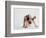 Bulldog Puppy-Jim Craigmyle-Framed Photographic Print