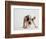 Bulldog Puppy-Jim Craigmyle-Framed Photographic Print