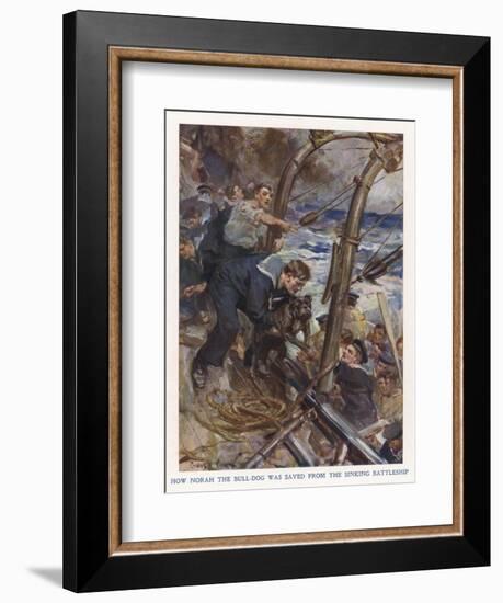 Bulldog Rescued-Cyrus Cuneo-Framed Art Print