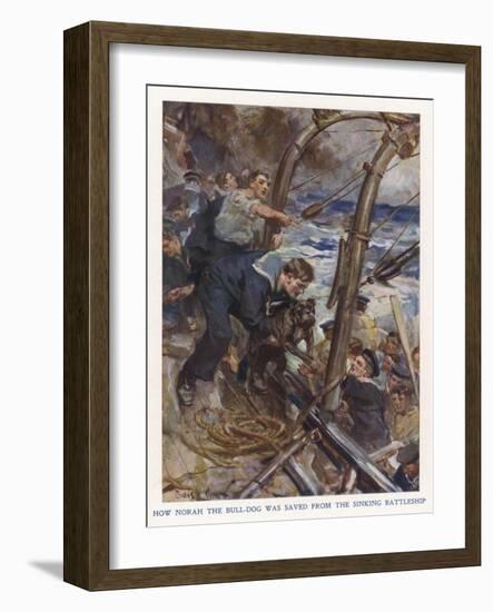 Bulldog Rescued-Cyrus Cuneo-Framed Art Print