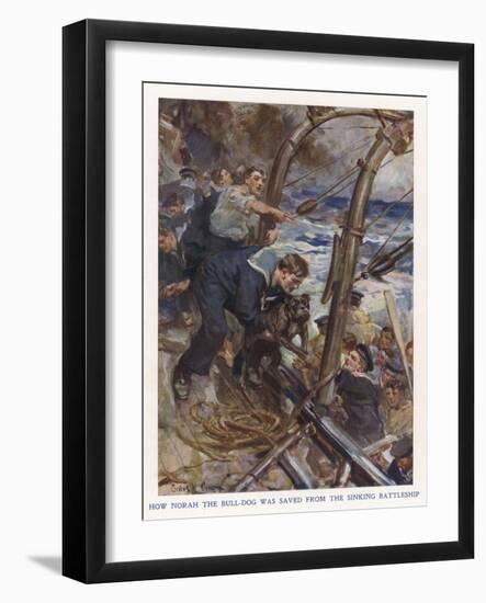 Bulldog Rescued-Cyrus Cuneo-Framed Art Print