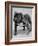 Bulldog/Rodney Stone/-null-Framed Photographic Print