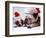 Bulldog Santas-Larry Williams-Framed Photographic Print