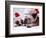 Bulldog Santas-Larry Williams-Framed Photographic Print