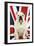 Bulldog Sitting on Union Jack Flag-null-Framed Photographic Print