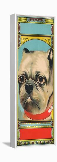 Bulldog Tobacco Label-Lantern Press-Framed Stretched Canvas