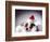 Bulldog Wearing Santa Hat-Larry Williams-Framed Photographic Print