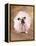 Bulldog Wearing Tutu-Peter M. Fisher-Framed Premier Image Canvas