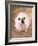 Bulldog Wearing Tutu-Peter M. Fisher-Framed Photographic Print