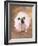 Bulldog Wearing Tutu-Peter M. Fisher-Framed Photographic Print