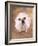 Bulldog Wearing Tutu-Peter M. Fisher-Framed Photographic Print