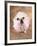 Bulldog Wearing Tutu-Peter M. Fisher-Framed Photographic Print