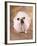 Bulldog Wearing Tutu-Peter M. Fisher-Framed Photographic Print