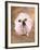 Bulldog Wearing Tutu-Peter M. Fisher-Framed Photographic Print