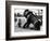 Bulldog with a Cannon-null-Framed Photographic Print