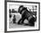 Bulldog with a Cannon-null-Framed Photographic Print