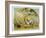 Bulldog with Hedgehog-R. Andre-Framed Art Print