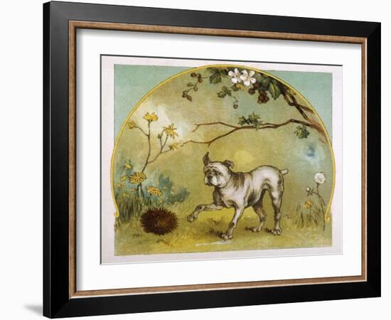 Bulldog with Hedgehog-R. Andre-Framed Art Print