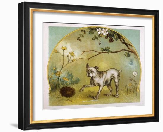 Bulldog with Hedgehog-R. Andre-Framed Art Print