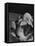 Bulldog with White Mouse Sitting on Head-Gjon Mili-Framed Premier Image Canvas