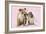 Bulldog X2 Puppies-null-Framed Photographic Print