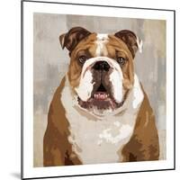 Bulldog-Keri Rodgers-Mounted Giclee Print