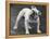 Bulldog-Thomas Fall-Framed Premier Image Canvas