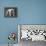 Bulldog-Thomas Fall-Framed Premier Image Canvas displayed on a wall