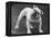 Bulldog-Thomas Fall-Framed Premier Image Canvas