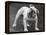 Bulldog-Thomas Fall-Framed Premier Image Canvas