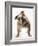 Bulldog-null-Framed Photographic Print