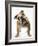 Bulldog-null-Framed Photographic Print