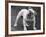 Bulldog-Thomas Fall-Framed Photographic Print