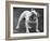 Bulldog-Thomas Fall-Framed Photographic Print