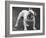 Bulldog-Thomas Fall-Framed Photographic Print