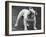 Bulldog-Thomas Fall-Framed Photographic Print