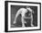 Bulldog-Thomas Fall-Framed Photographic Print