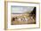 Bulldogs on a Beach-R. Ward Binks-Framed Giclee Print