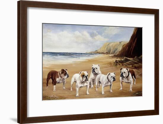 Bulldogs on a Beach-R. Ward Binks-Framed Giclee Print