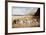 Bulldogs on a Beach-R. Ward Binks-Framed Giclee Print