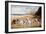 Bulldogs on a Beach-R. Ward Binks-Framed Giclee Print