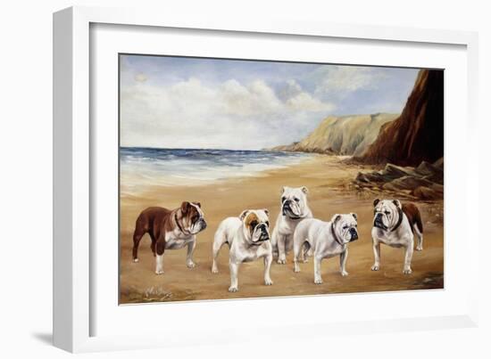 Bulldogs on a Beach-R. Ward Binks-Framed Giclee Print