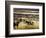 Bullfight, c.1865-Edouard Manet-Framed Giclee Print