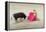 Bullfight in the Plaza De Toros Monumental De Las Ventas-Jon Hicks-Framed Premier Image Canvas