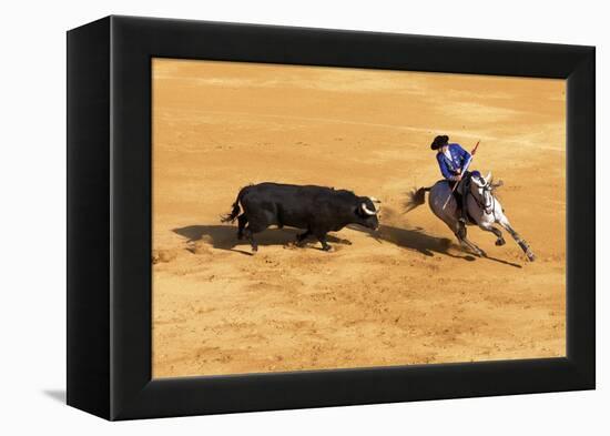 Bullfight, Jerez De La Frontera, Cadiz Province, Andalusia, Spain-Neil Farrin-Framed Premier Image Canvas