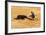 Bullfight, Jerez De La Frontera, Cadiz Province, Andalusia, Spain-Neil Farrin-Framed Photographic Print