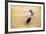 Bullfight, Jerez De La Frontera, Cadiz Province, Andalusia, Spain-Neil Farrin-Framed Photographic Print