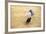 Bullfight, Jerez De La Frontera, Cadiz Province, Andalusia, Spain-Neil Farrin-Framed Photographic Print