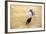 Bullfight, Jerez De La Frontera, Cadiz Province, Andalusia, Spain-Neil Farrin-Framed Photographic Print